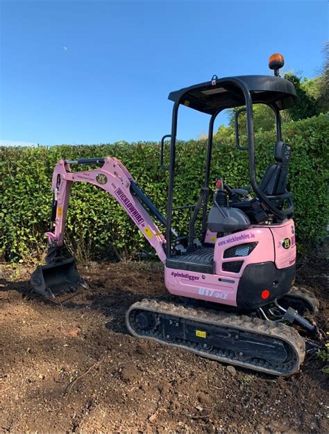 wicklow hire mini digger|mini digger hire power plant.